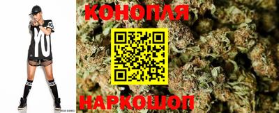 стаф Донецк